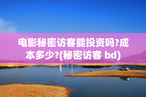 电影秘密访客能投资吗?成本多少?(秘密访客 bd)