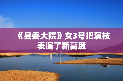 《县委大院》女3号把演技表演了新高度