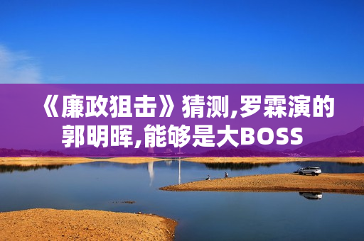 《廉政狙击》猜测,罗霖演的郭明晖,能够是大BOSS