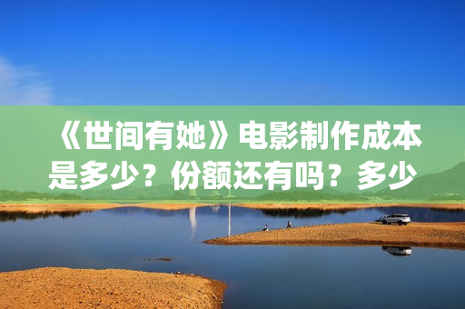《世间有她》电影制作成本是多少？份额还有吗？多少钱一份？(世间有她电影剧情介绍)