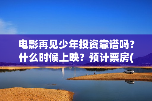 电影再见少年投资靠谱吗？什么时候上映？预计票房(电影 再见少年)