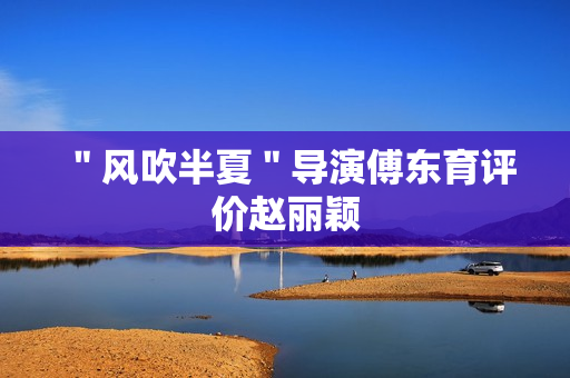 ＂风吹半夏＂导演傅东育评价赵丽颖