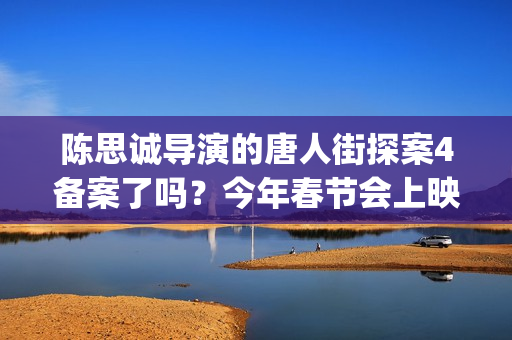 陈思诚导演的唐人街探案4备案了吗？今年春节会上映吗？可以投资吗？(陈思诚客串唐探)