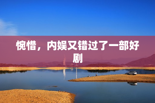 惋惜，内娱又错过了一部好剧