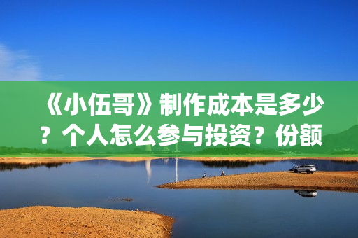 《小伍哥》制作成本是多少？个人怎么参与投资？份额是真实的吗？(《小伍哥》制作方法)