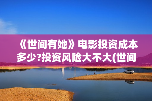 《世间有她》电影投资成本多少?投资风险大不大(世间有她上映)