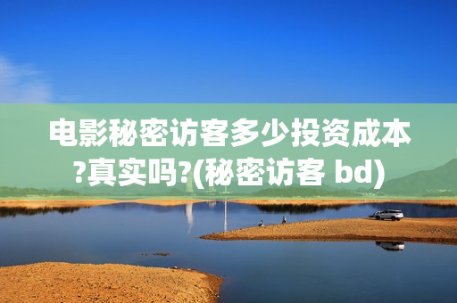 电影秘密访客多少投资成本?真实吗?(秘密访客 bd)