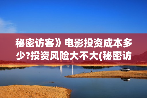 秘密访客》电影投资成本多少?投资风险大不大(秘密访客》电影在线观看)
