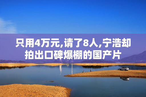 只用4万元,请了8人,宁浩却拍出口碑爆棚的国产片