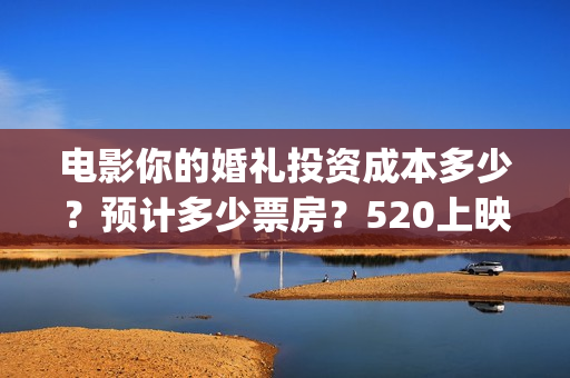 电影你的婚礼投资成本多少？预计多少票房？520上映(电影你的婚礼购票)