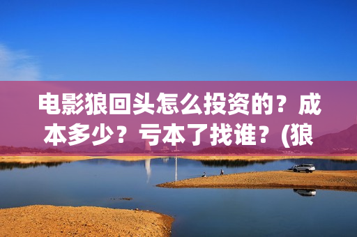 电影狼回头怎么投资的？成本多少？亏本了找谁？(狼回头视频)