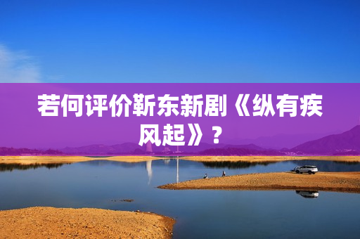 若何评价靳东新剧《纵有疾风起》？