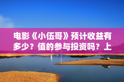 电影《小伍哥》预计收益有多少？值的参与投资吗？上映时间是什么时候/(电影《小伍哥》免费观看)