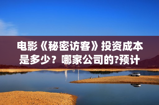 电影《秘密访客》投资成本是多少？哪家公司的?预计收益是多少？(秘密访客完整剧情)