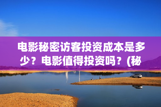 电影秘密访客投资成本是多少？电影值得投资吗？(秘密访客电影价钱)