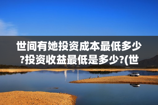 世间有她投资成本最低多少?投资收益最低是多少?(世间有她投资公司)