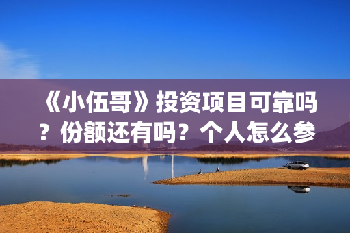 《小伍哥》投资项目可靠吗？份额还有吗？个人怎么参与投资(电影小伍哥投资)
