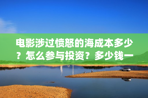 电影涉过愤怒的海成本多少？怎么参与投资？多少钱一份？(电影涉过愤怒的海故事原型)