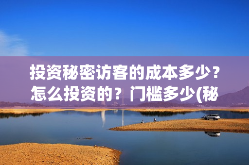 投资秘密访客的成本多少？怎么投资的？门槛多少(秘密访客投资成本)