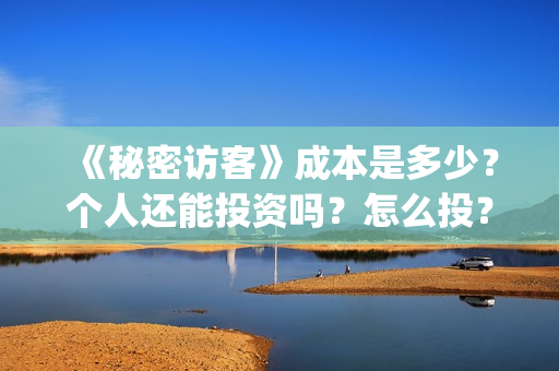 《秘密访客》成本是多少？个人还能投资吗？怎么投？(秘密访客到底演了什么)