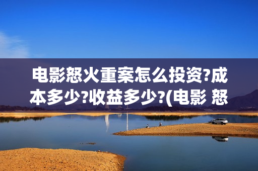 电影怒火重案怎么投资?成本多少?收益多少?(电影 怒火重案)