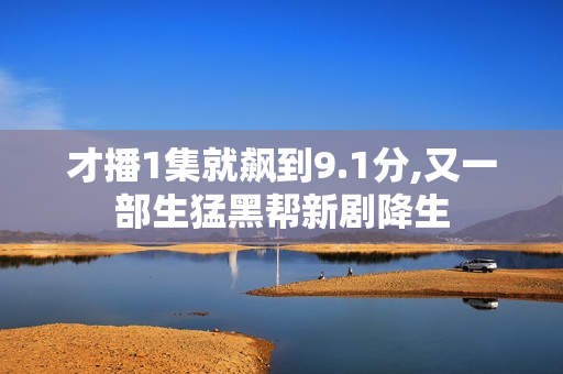 才播1集就飙到9.1分,又一部生猛黑帮新剧降生