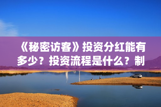 《秘密访客》投资分红能有多少？投资流程是什么？制作成本是多少？(《秘密访客》投资多少钱)