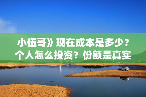 小伍哥》现在成本是多少？个人怎么投资？份额是真实的吗？(小伍哥播出时间)