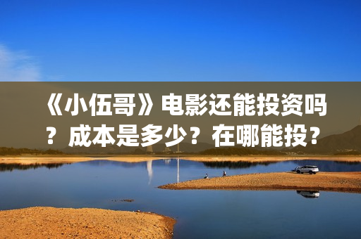 《小伍哥》电影还能投资吗？成本是多少？在哪能投？份额还有吗？(小伍哥在线观看)
