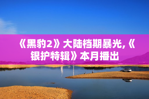 《黑豹2》大陆档期暴光,《银护特辑》本月播出