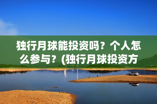 独行月球能投资吗？个人怎么参与？(独行月球投资方)