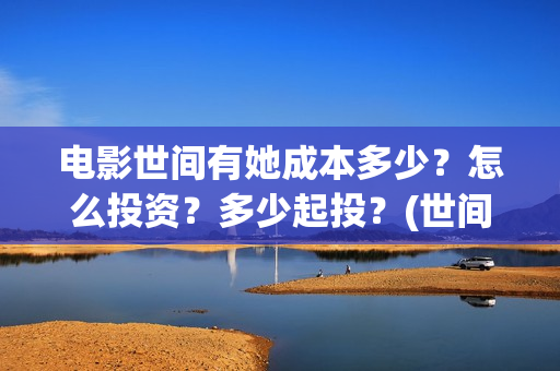 电影世间有她成本多少？怎么投资？多少起投？(世间有她是什么片)