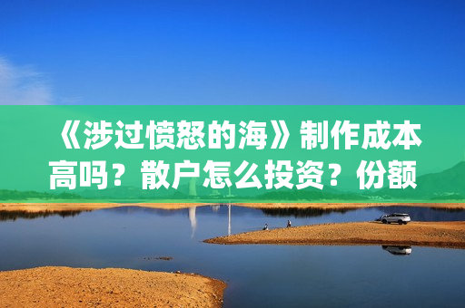 《涉过愤怒的海》制作成本高吗？散户怎么投资？份额真实吗?(涉过愤怒的海事件原型)