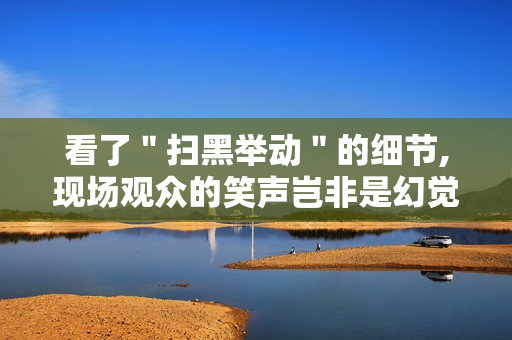 看了＂扫黑举动＂的细节,现场观众的笑声岂非是幻觉