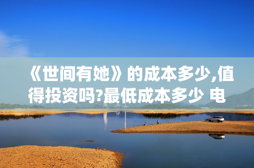 《世间有她》的成本多少,值得投资吗?最低成本多少 电影怎么参与投资?(世间有她经典语录)