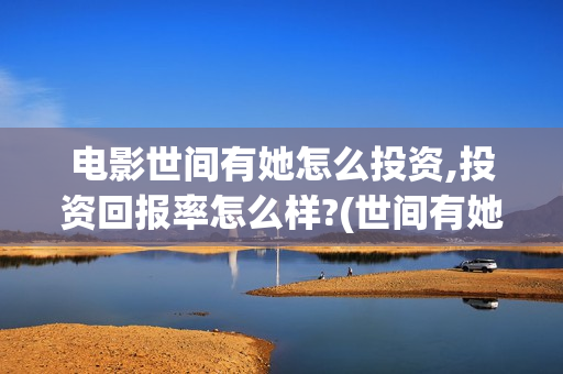 电影世间有她怎么投资,投资回报率怎么样?(世间有她电影演员表)