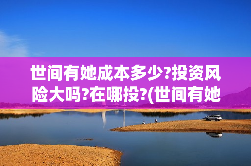 世间有她成本多少?投资风险大吗?在哪投?(世间有她投资成本)