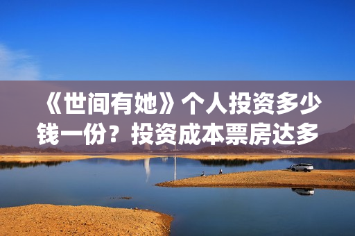 《世间有她》个人投资多少钱一份？投资成本票房达多少回本？(世间有她女主角)