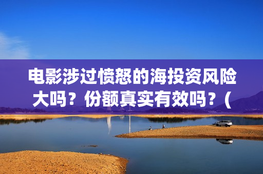 电影涉过愤怒的海投资风险大吗？份额真实有效吗？(电影涉过愤怒的海观后感)