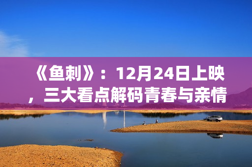 《鱼刺》：12月24日上映，三大看点解码青春与亲情的羁绊(帮我找一下鱼刺)