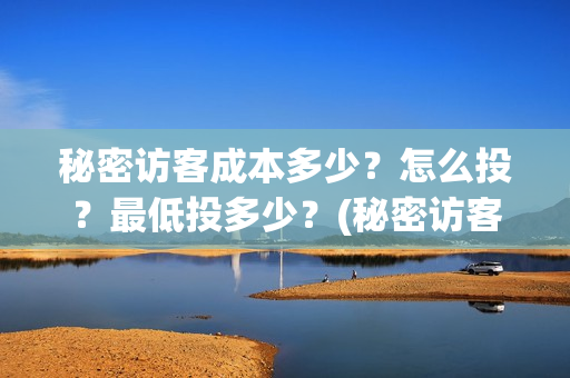 秘密访客成本多少？怎么投？最低投多少？(秘密访客有多久)