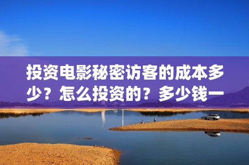 投资电影秘密访客的成本多少？怎么投资的？多少钱一份(电影秘密访客投资风险大吗)
