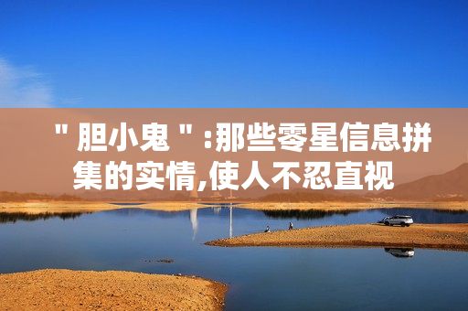 ＂胆小鬼＂:那些零星信息拼集的实情,使人不忍直视