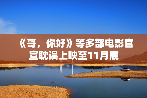 《哥，你好》等多部电影官宣耽误上映至11月底