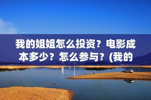 我的姐姐怎么投资？电影成本多少？怎么参与？(我的姐姐怎么在手机上看)