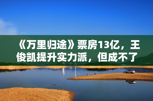 《万里归途》票房13亿，王俊凯提升实力派，但成不了下个易烊千玺