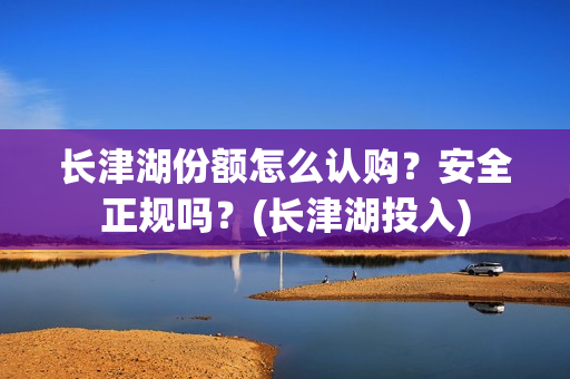 长津湖份额怎么认购？安全正规吗？(长津湖投入)