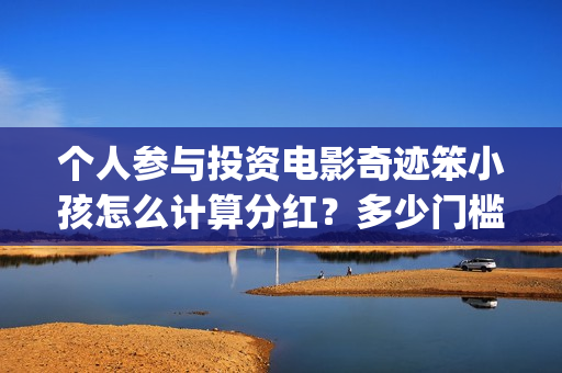 个人参与投资电影奇迹笨小孩怎么计算分红？多少门槛起投？(个人投资者参与)