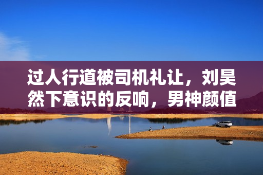 过人行道被司机礼让，刘昊然下意识的反响，男神颜值真高