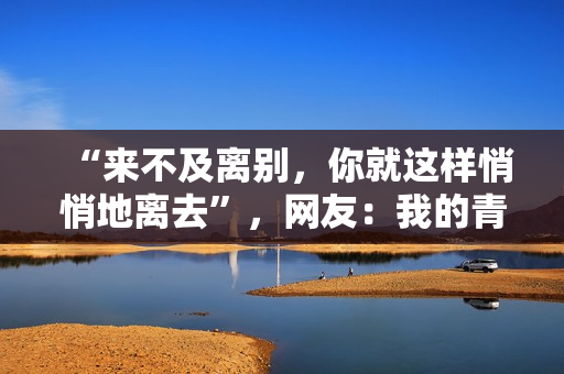 “来不及离别，你就这样悄悄地离去”，网友：我的青春没有了